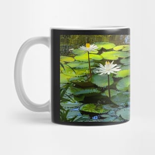 Pond with waterlilies Mug